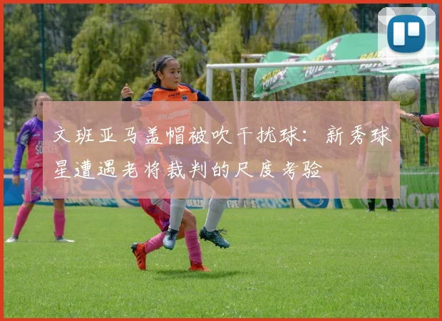 文班亚马盖帽被吹干扰球：新秀球星遭遇老将裁判的尺度考验